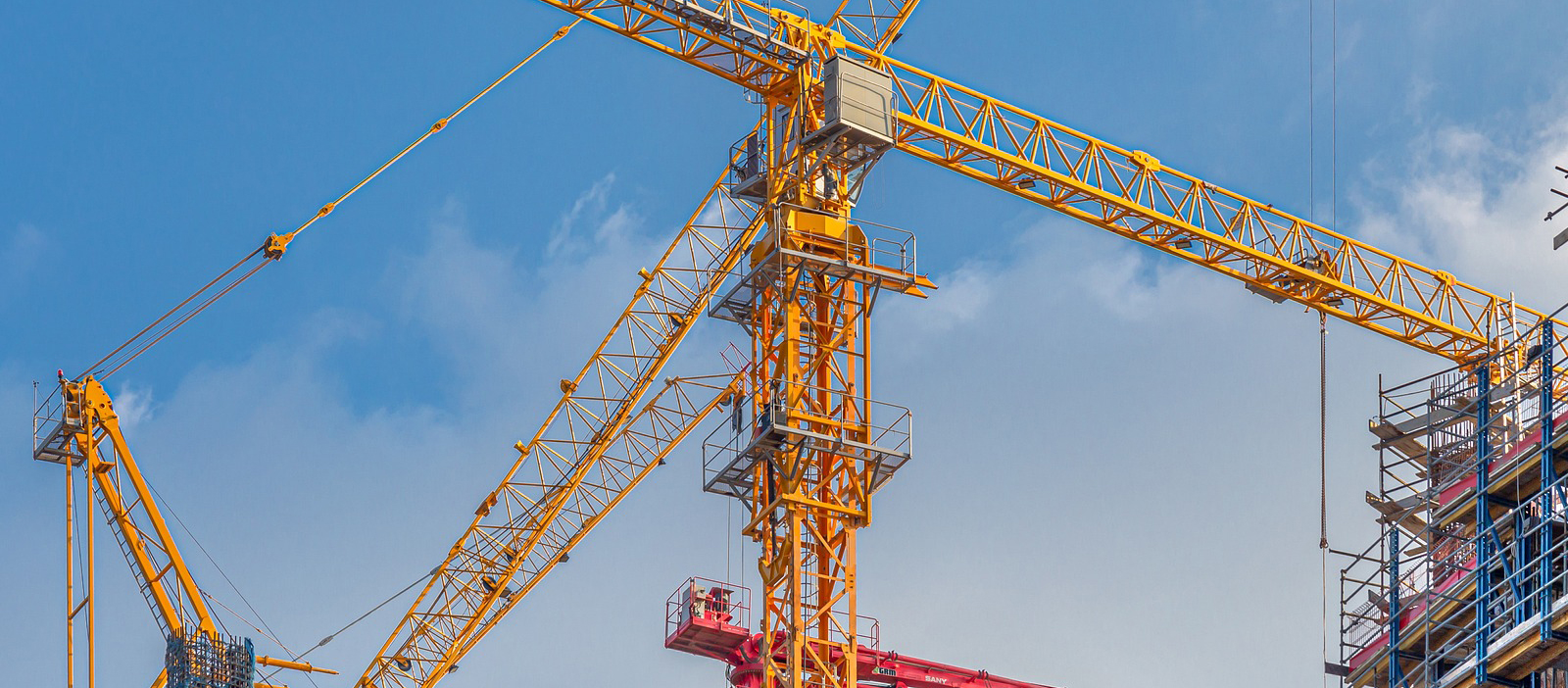 cranes web